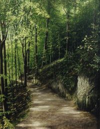 Waldweg bei Kufstein, &Ouml;l auf Leinwand, 60 x 50 cm